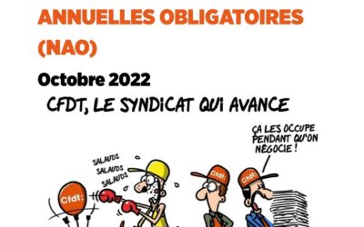 Les Négociations Annuelles Obligatoires (NAO)