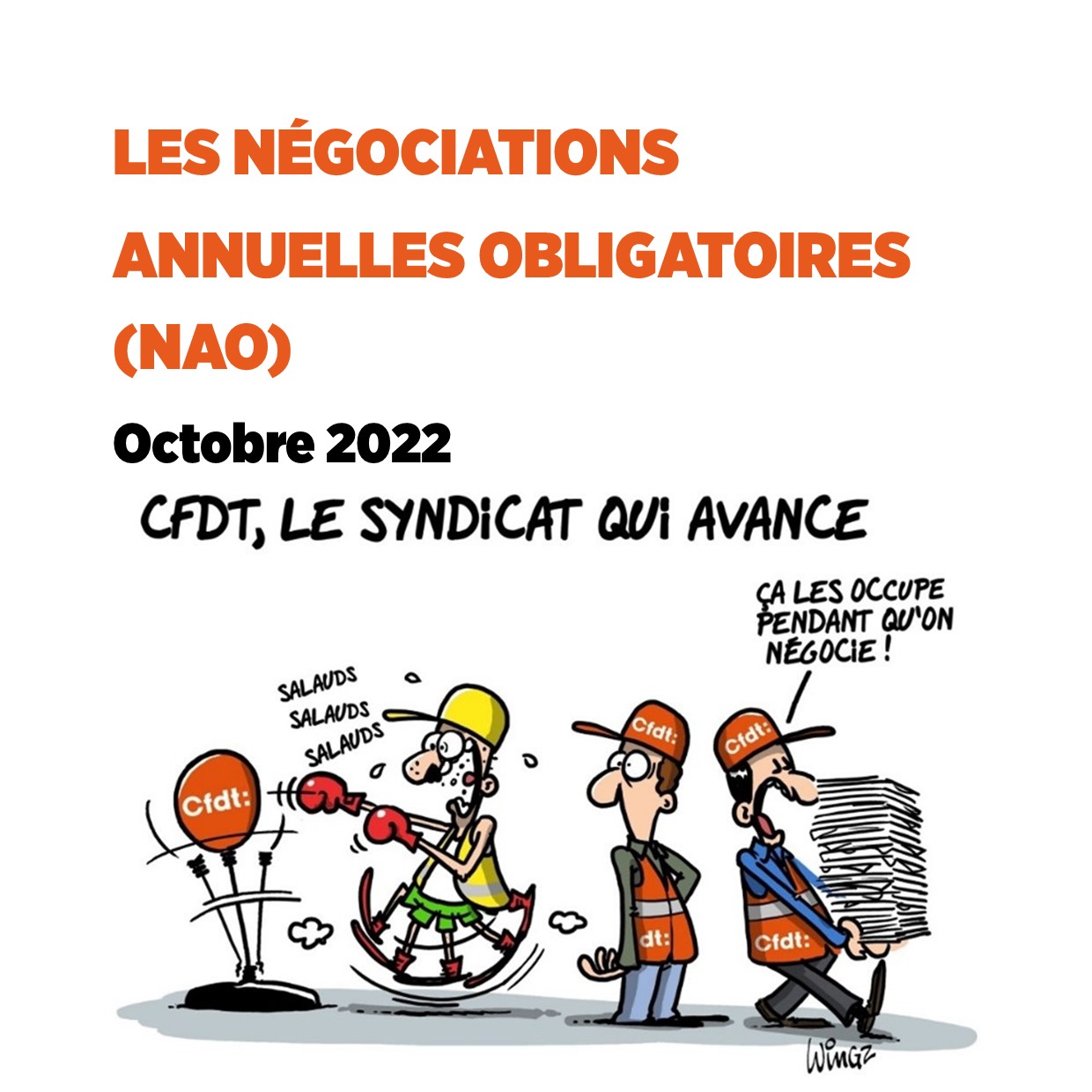 Les Négociations Annuelles Obligatoires (NAO) CFDT EFS