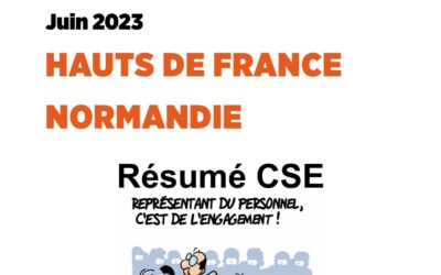 Lettre information HFNO juin 2023 (résumé CSE)