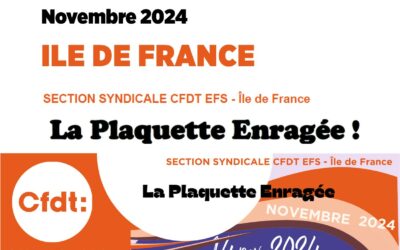 La Plaquette Enragée IDF novembre 2024